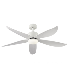 BLDC motor ceiling fan with light